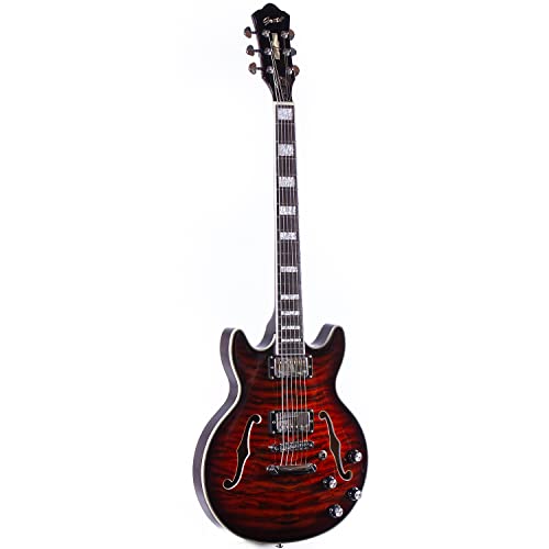 Grote GT339 Semi-Hollow Body Electric Guitar (VS)